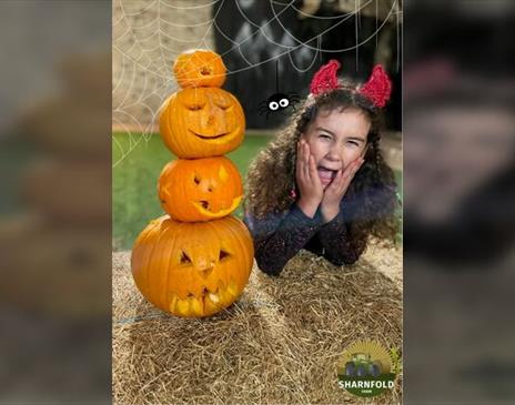 Halloween at Spookfold Farm