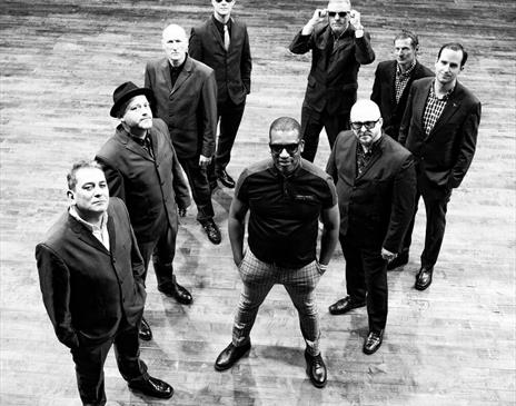 The Specials Ltd.
