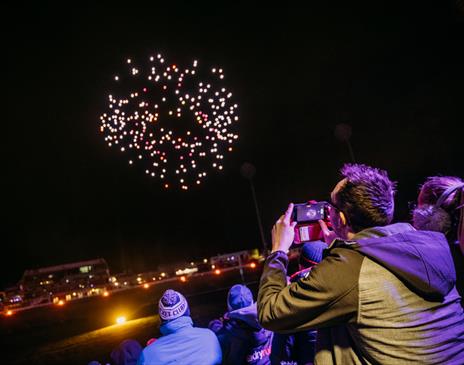 WILD: The Drone Light Show