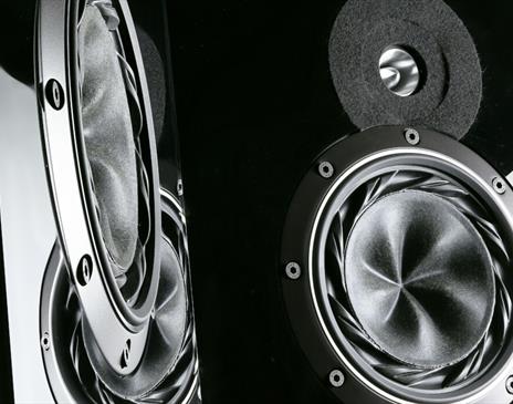 Black and white image of two large shiny speakers