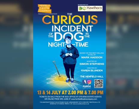 The Curious Incident of the Dog in the Night-Time