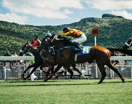 Colorful jockeys in horse race