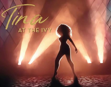 Tina Turner on tour