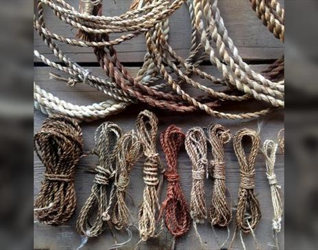 Wild Cordage