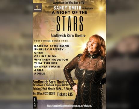 A Night of the Stars