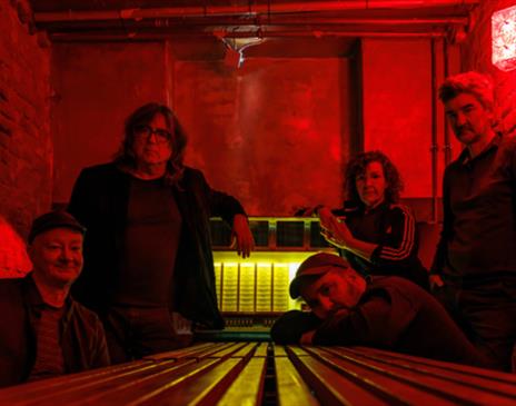 Magnetic Fields: 69 Love Songs 25th Anniversary Tour