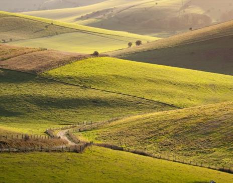 Sussex Downs