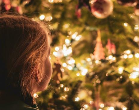 Young child looking at large indoor Christmas tree