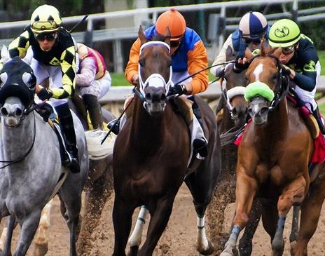 People racing horses