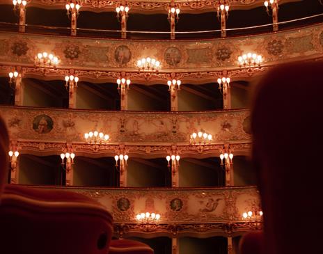 Softly lit theatre with plush red seats