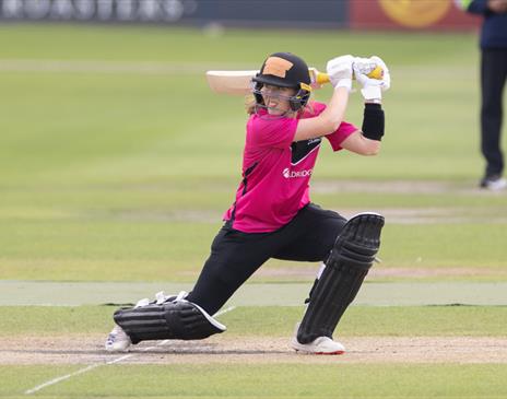 Sussex Sharks Double Header July 5
