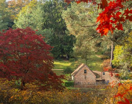 Autumn Walk with Our Head Gardener