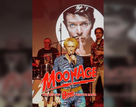 Moonage - The Best of Bowie