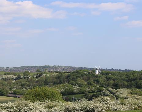 View from The Clubhouse