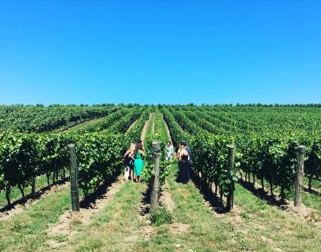 Great British Wine Tours