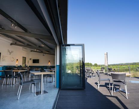 View of vineyard and tasting room