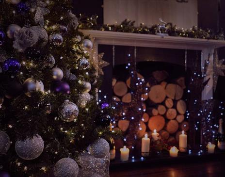 Hotel du Vin - xmas tree and logs in the fireplace