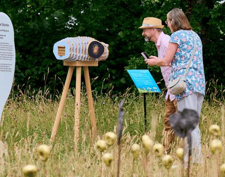 Seedscapes at Wakehurst
