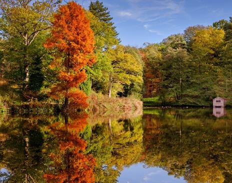 Wakehurst autumn