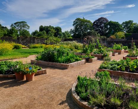 Wakehurst Children_s and Community Garden, Jim Holden © RBG Kew