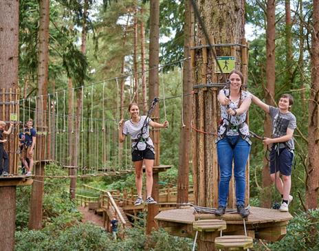 Go Ape Crawley