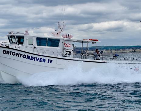 Brighton Wind Farm, Fishing Diving Tours