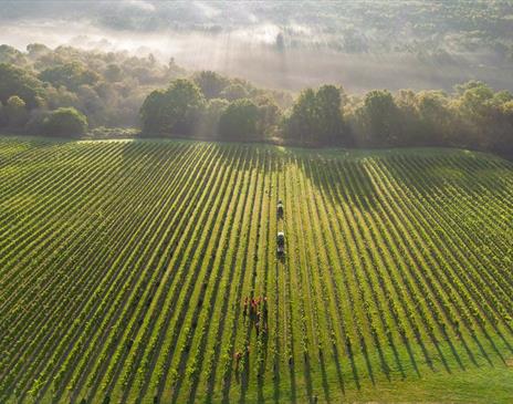 Leonardslee WIne Estate