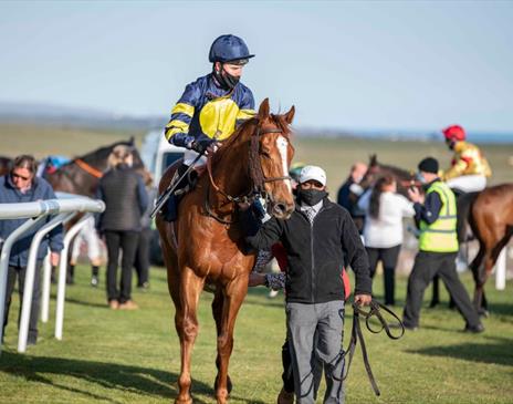 Brighton Racecourse - horse and jockey