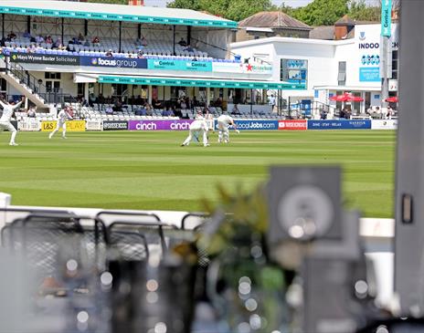 Sussex Cricket