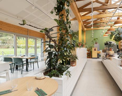 Bright and airy space inside with plants in One Kitchen