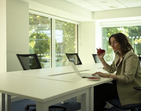 The workspace at BNJC workspace, a person sits at a table in a bright office space working on some documents.