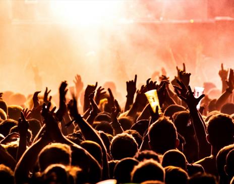 Photo of a crowd enjoying an event. The image was taken by Tijs Van Leur and was downloaded from the Unsplash website.