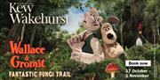 Wallace & Gromit: Fantastic Fungi Trail