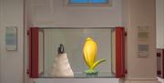 Hove Museum of Creativity