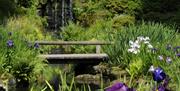 Wakehurst - bridge over brook