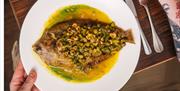 A plate of fish.
