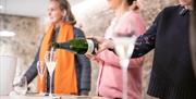 Wiston wine being poured into glasses on a table as part of a tour.