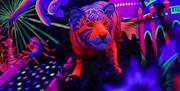 GLOBALLS - Tiger