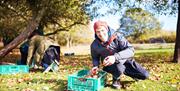 People foraging products