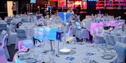 A season of festivities at The Amex Stadium