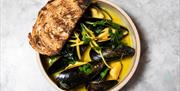 A plate of mussels.
