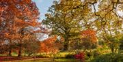 Autumn at Borde Hill.