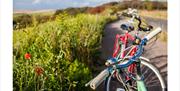 bikes parked along country road