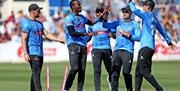 Sussex Cricket - players celebrating
