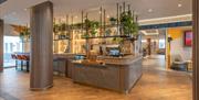 The bar area