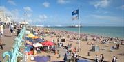Brighton Beachfront