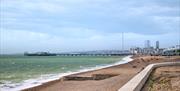 Brighton Marina
