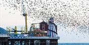 Brighton Palace Pier