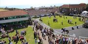 Brighton Racecourse