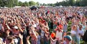 Crowds at the festival.